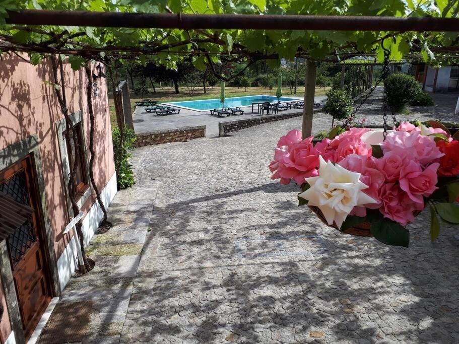 Villa Quintinha De Santiago à Oliveira de Azeméis Extérieur photo